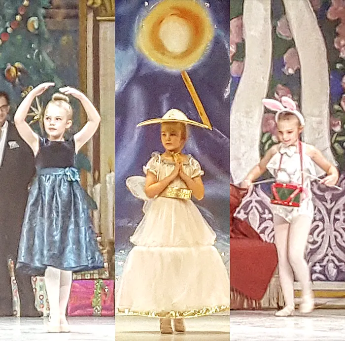 American Youth Ballet Picture 10