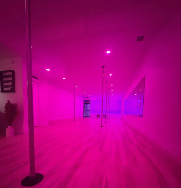 Innovated Vibe Pole Studio Picture 9