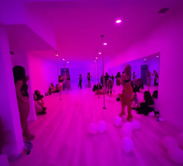 Innovated Vibe Pole Studio Picture 7