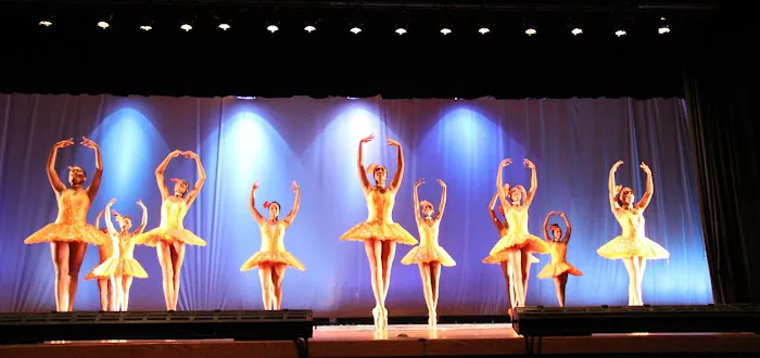 Newburgh Performing Arts Academy Picture 1