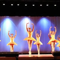 Newburgh Performing Arts Academy ico