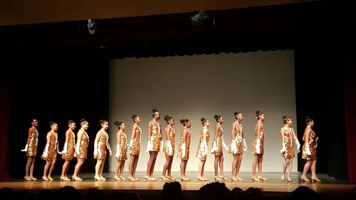 Newburgh Performing Arts Academy Picture 4