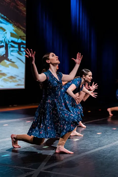 Hudson River Performing Arts Picture 5