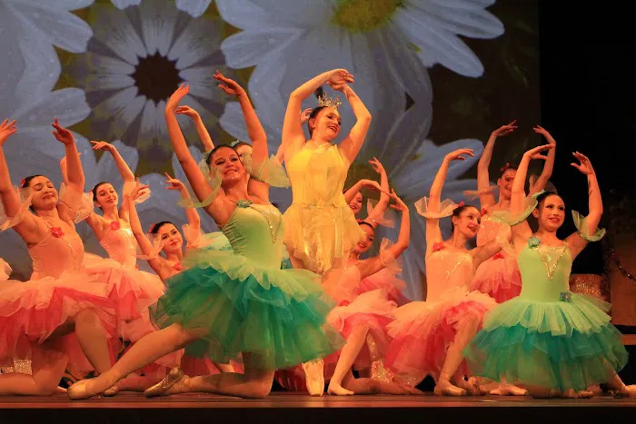 Hudson River Performing Arts Picture 9