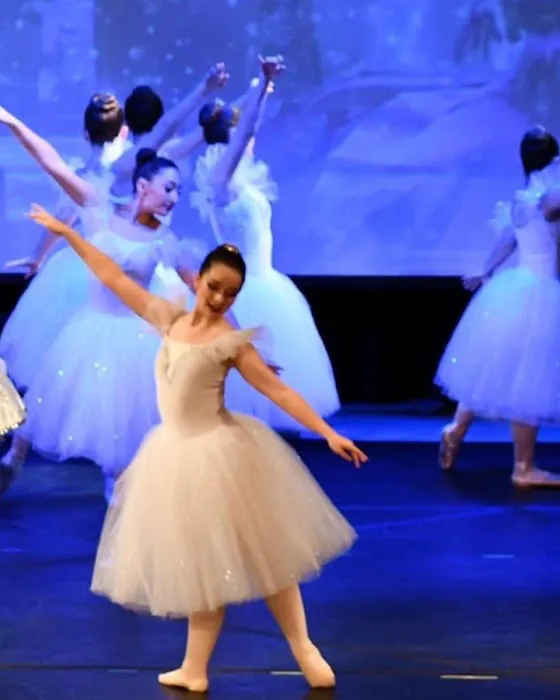 Hudson River Performing Arts Picture 7