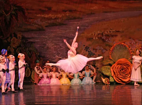 Seiskaya Ballet Picture 3