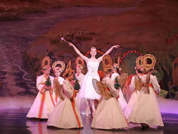 Seiskaya Ballet Picture 4