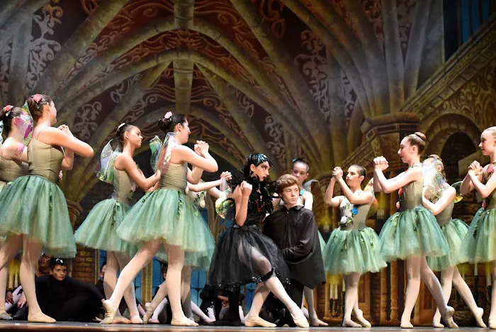 Norwalk Metropolitan Youth Ballet Picture 5