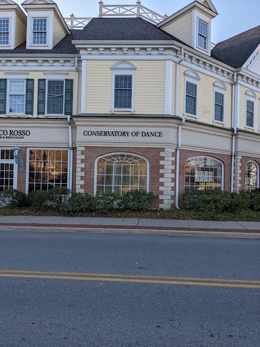 Conservatory of Dance, LLC Picture 2