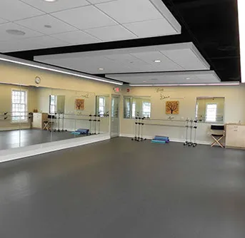 Conservatory of Dance, LLC Picture 7
