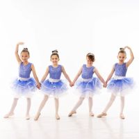 Norwalk Academy of Dance LLC ico