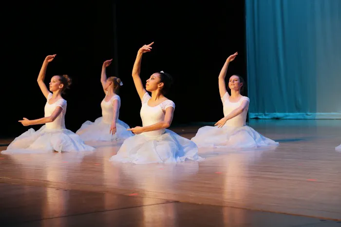 The Dance Collective Picture 2