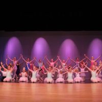Ballet Arts of Bucks County ico