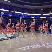 BC Discoveries Dance & Theater Arts Co ico