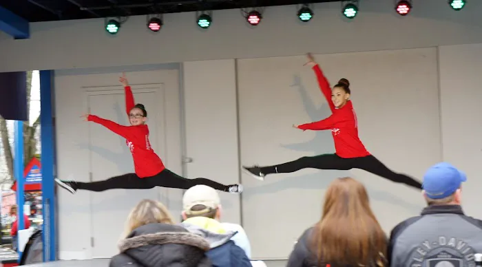 BC Discoveries Dance & Theater Arts Co Picture 8