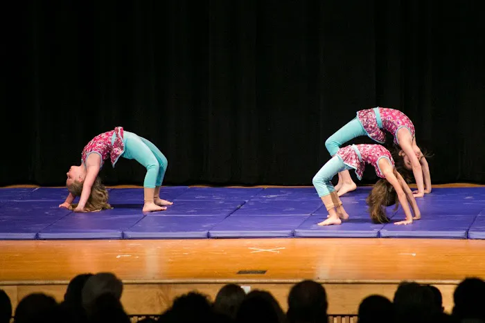 Libra Dance Studio Picture 2