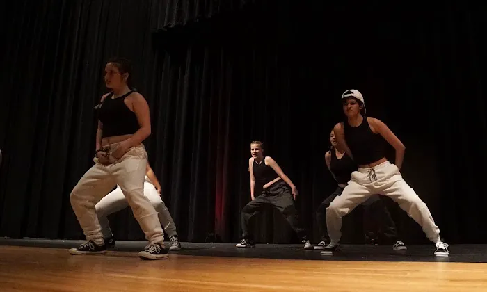 Freestyle Dance Academy Picture 5