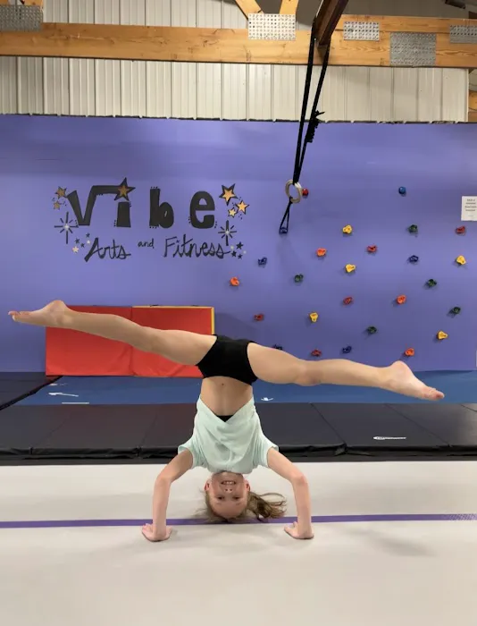 Vibe Arts and Fitness Complex Picture 3