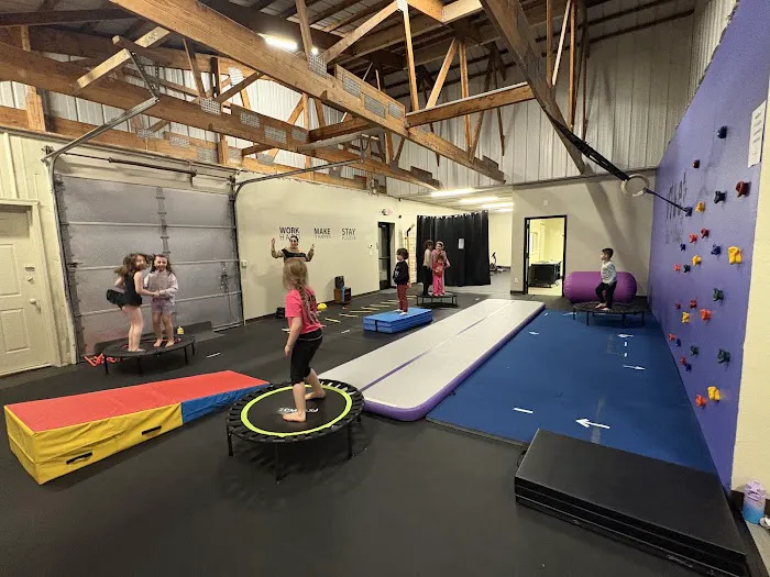 Vibe Arts and Fitness Complex Picture 2
