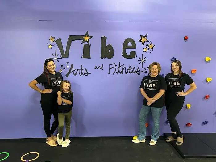 Vibe Arts and Fitness Complex Picture 1
