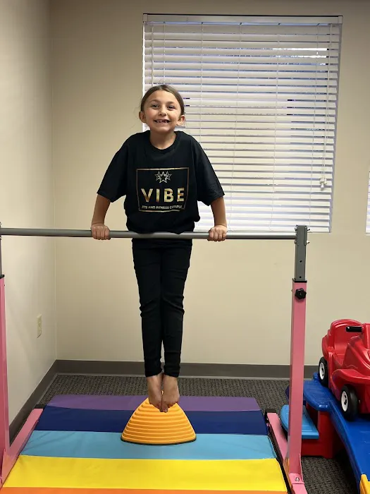Vibe Arts and Fitness Complex Picture 9
