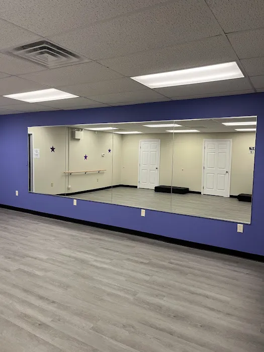 Vibe Arts and Fitness Complex Picture 8