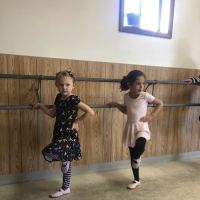 The Hamlin Dance Studio ico