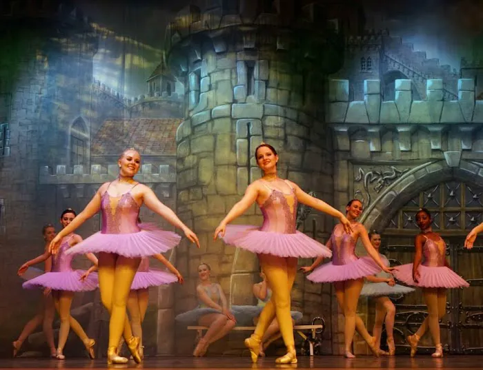 Joan Harris Centre - Dance Studio NEPA Picture 3