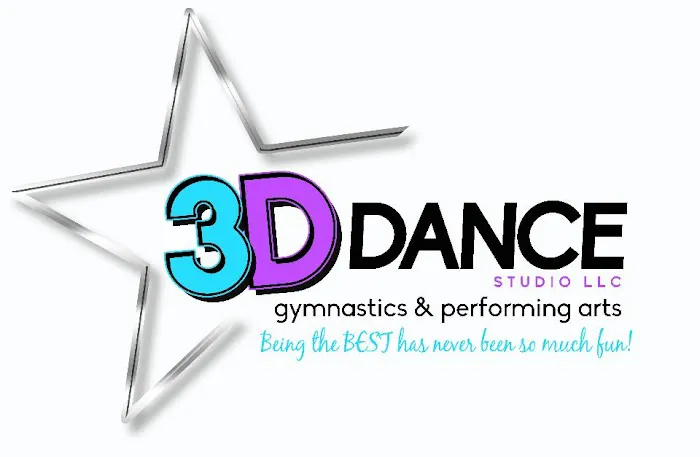 3D Dance Studio Picture 4