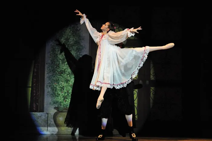 New Paltz School of Ballet Picture 5