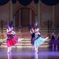 Ridgefield School of Dance, LLC ico