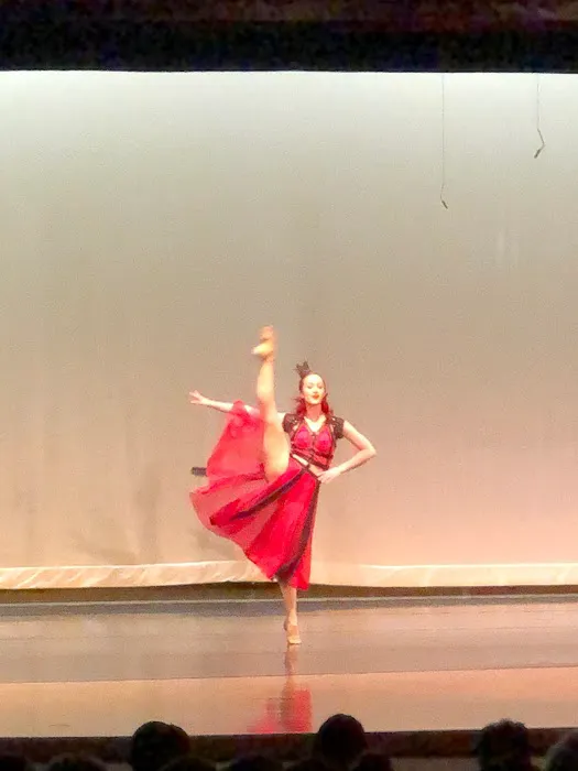 Academy of Dance Arts Picture 5