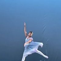 Enchanted Garden (Studio Two) ico