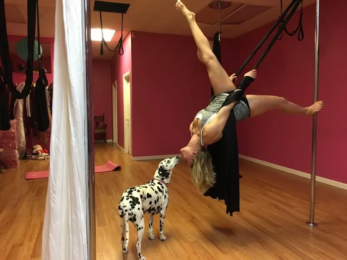 Shimmy Shimmy Dance Studio Picture 5