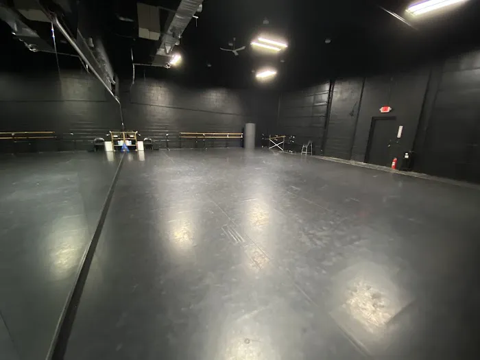 True Dance Potential Picture 3