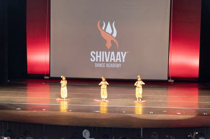 Shivaay Dance Academy Picture 4