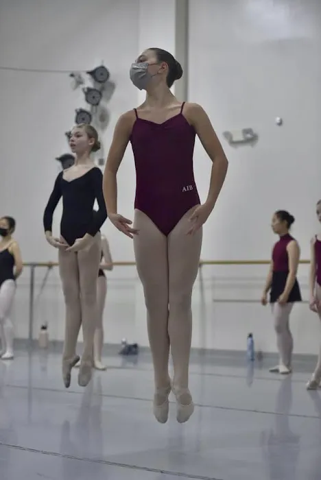 Academy of International Ballet-Horsham Picture 4