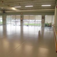 Delaware Valley Dance Academy ico