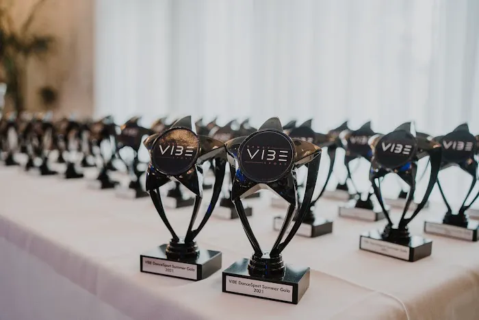 VIBE DanceSport Picture 10