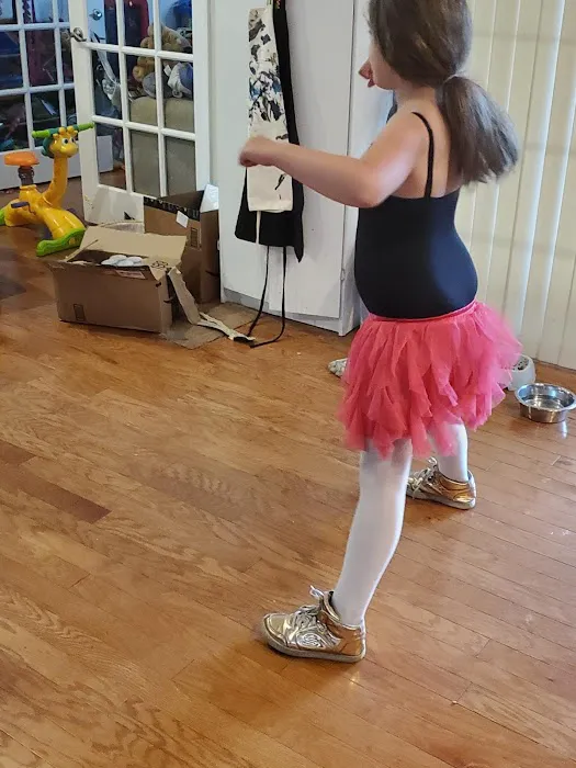 Stepping Stone Dance Studio Picture 1