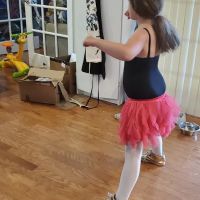 Stepping Stone Dance Studio ico