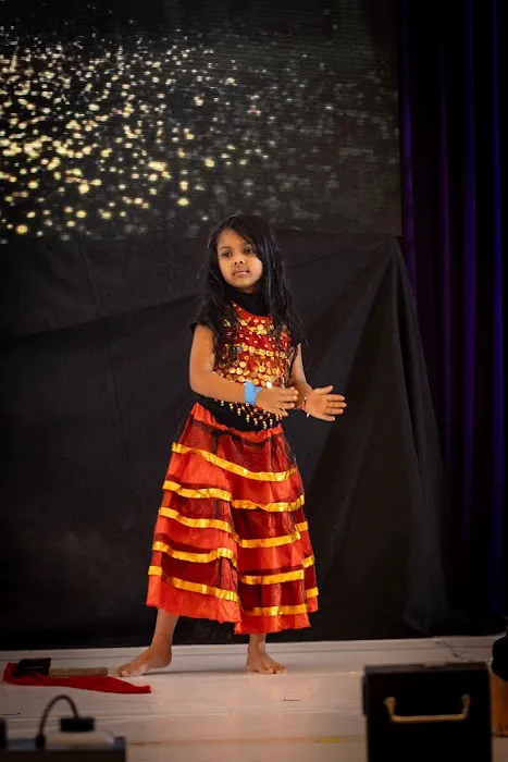 Shivaay Dance Academy Picture 9
