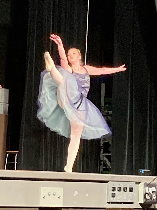 Steppin Out Academy of Dance Picture 10