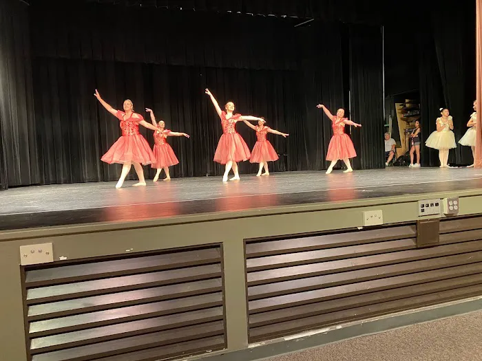 Steppin Out Academy of Dance Picture 7