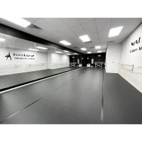 Next Level Dance Academy ico