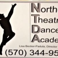 Northeast Theatre Dance Academy ico