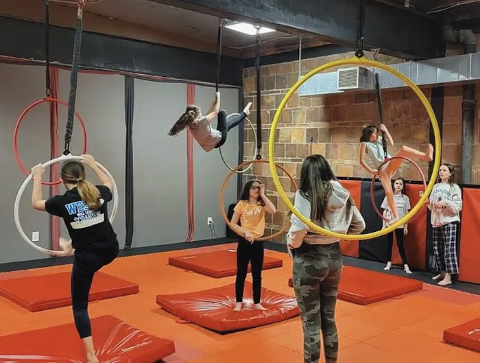 Aries Aerial Arts and Pole Dance Fitness Picture 4
