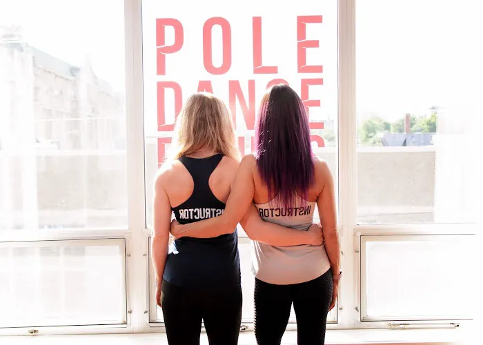 Aries Aerial Arts and Pole Dance Fitness Picture 1