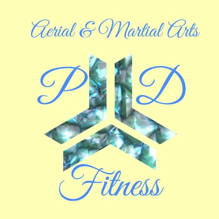 Aries Aerial Arts and Pole Dance Fitness Picture 6