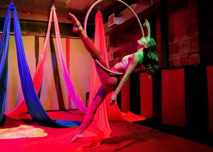 Aries Aerial Arts and Pole Dance Fitness Picture 2